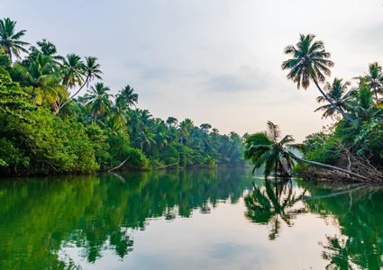 Nandeshwari Tour Travel